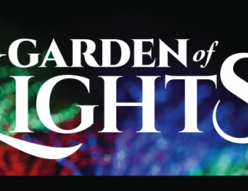 garden_of_lights