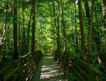 First Landing State Park Virginia Beach, VA