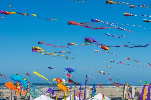 beach kites