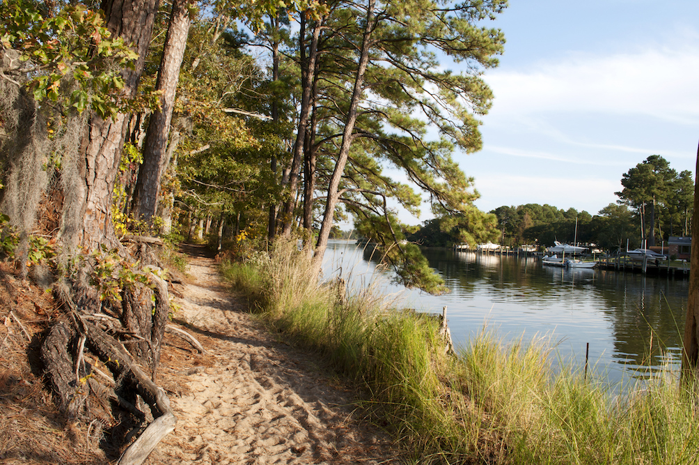 trail at first landing state park in virginia