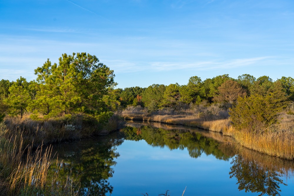 tidal creek in Virginia